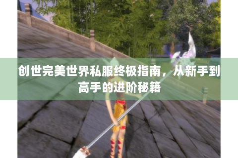创世完美世界私服终极指南，从新手到高手的进阶秘籍