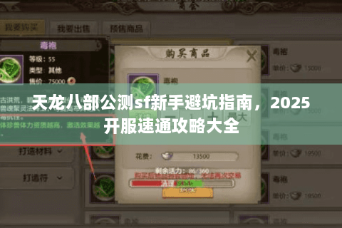 天龙八部公测sf新手避坑指南，2025开服速通攻略大全