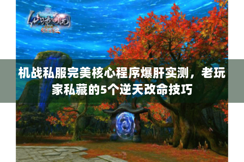机战私服完美核心程序爆肝实测，老玩家私藏的5个逆天改命技巧