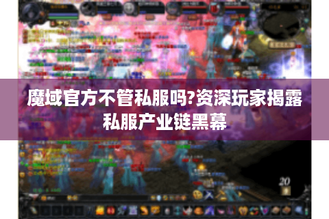 魔域官方不管私服吗?资深玩家揭露私服产业链黑幕
