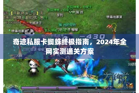 奇迹私服卡蜘蛛终极指南，2024年全网实测通关方案