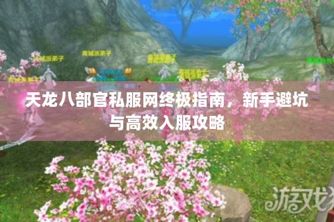 天龙八部官私服网终极指南，新手避坑与高效入服攻略