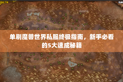 单刷魔兽世界私服终极指南，新手必看的5大速成秘籍