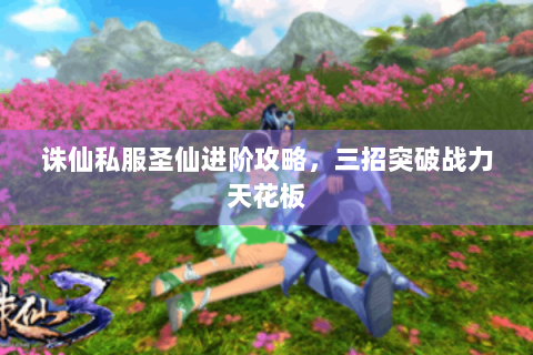 诛仙私服圣仙进阶攻略，三招突破战力天花板