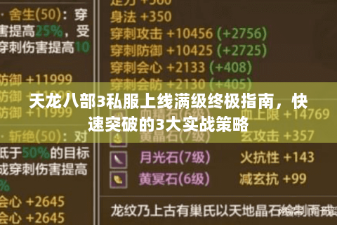 天龙八部3私服上线满级终极指南，快速突破的3大实战策略