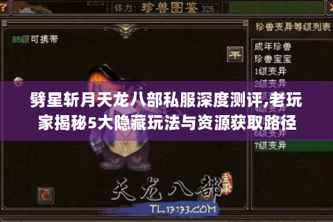 劈星斩月天龙八部私服深度测评,老玩家揭秘5大隐藏玩法与资源获取路径