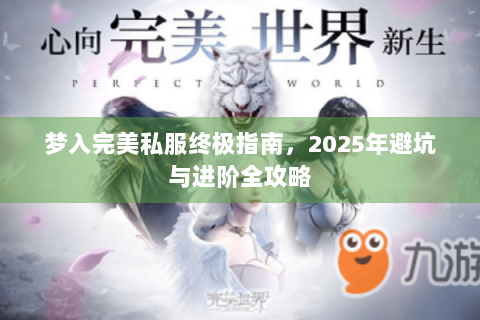 梦入完美私服终极指南，2025年避坑与进阶全攻略
