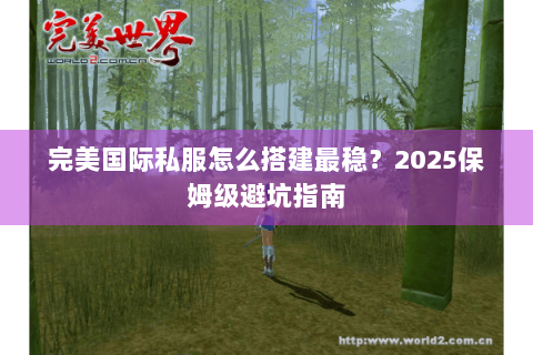 完美国际私服怎么搭建最稳？2025保姆级避坑指南
