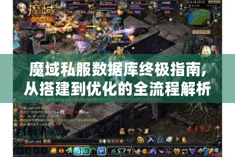魔域私服数据库终极指南,从搭建到优化的全流程解析