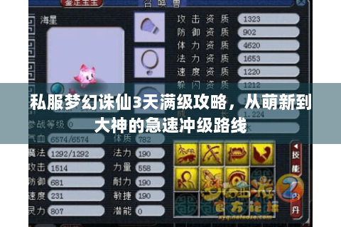 私服梦幻诛仙3天满级攻略，从萌新到大神的急速冲级路线