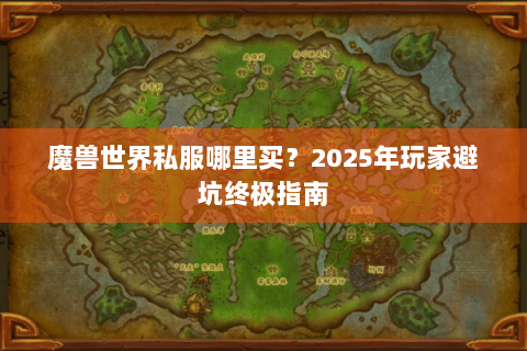 魔兽世界私服哪里买？2025年玩家避坑终极指南