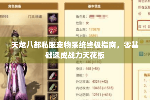 天龙八部私服宠物系统终极指南，零基础速成战力天花板