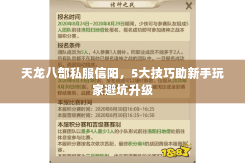 天龙八部私服信阳，5大技巧助新手玩家避坑升级