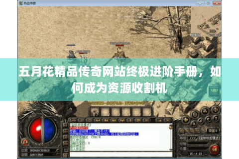 五月花精品传奇网站终极进阶手册，如何成为资源收割机