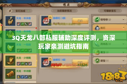 3Q天龙八部私服辅助深度评测，资深玩家亲测避坑指南