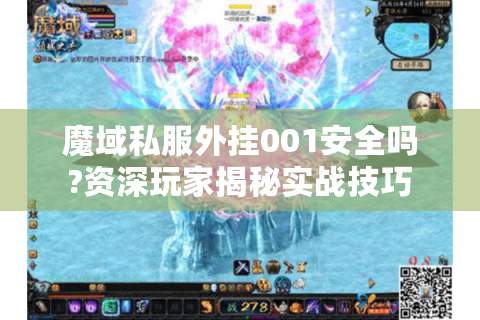 魔域私服外挂001安全吗?资深玩家揭秘实战技巧