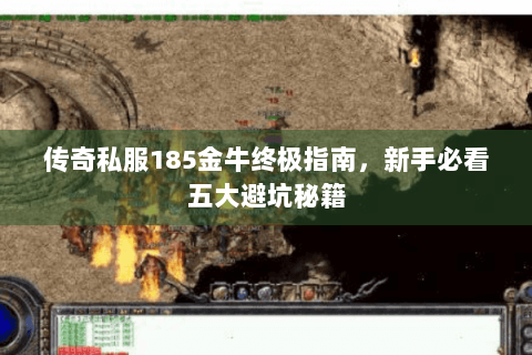 传奇私服185金牛终极指南，新手必看五大避坑秘籍