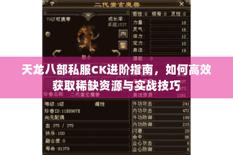 天龙八部私服CK进阶指南，如何高效获取稀缺资源与实战技巧