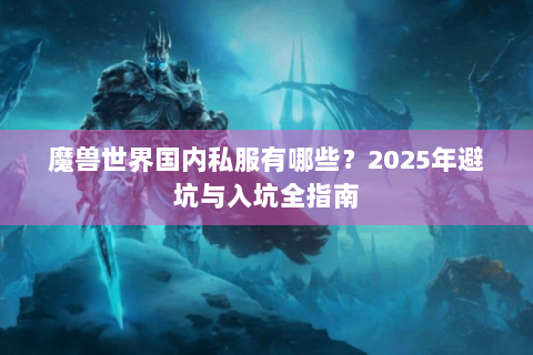 魔兽世界国内私服有哪些？2025年避坑与入坑全指南