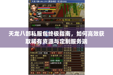 天龙八部私服包终极指南，如何高效获取稀有资源与定制服务端
