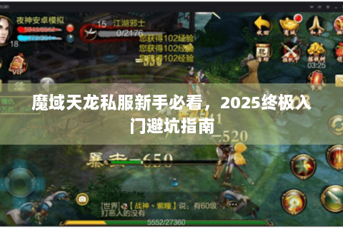 魔域天龙私服新手必看，2025终极入门避坑指南