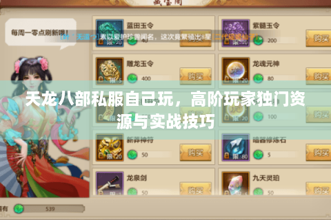 天龙八部私服自己玩，高阶玩家独门资源与实战技巧
