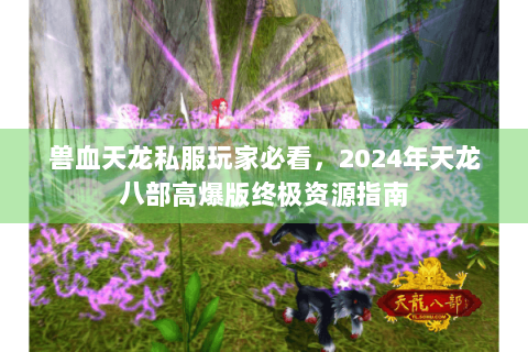 兽血天龙私服玩家必看，2024年天龙八部高爆版终极资源指南