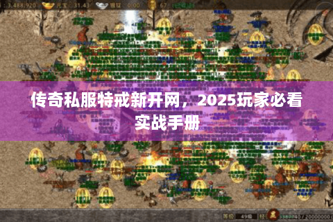 传奇私服特戒新开网，2025玩家必看实战手册