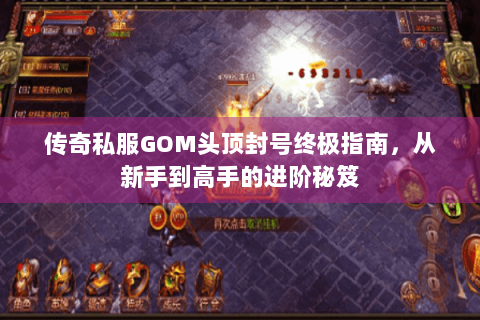 传奇私服GOM头顶封号终极指南，从新手到高手的进阶秘笈