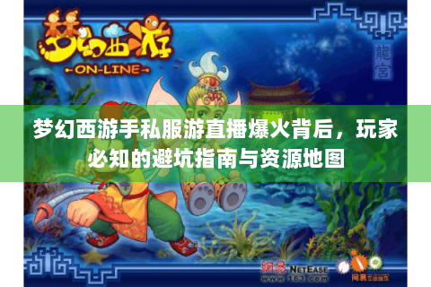 梦幻西游手私服游直播爆火背后，玩家必知的避坑指南与资源地图