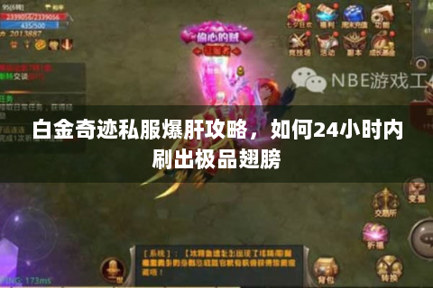 白金奇迹私服爆肝攻略，如何24小时内刷出极品翅膀