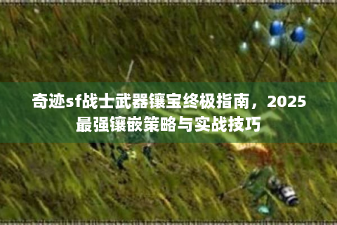 奇迹sf战士武器镶宝终极指南，2025最强镶嵌策略与实战技巧