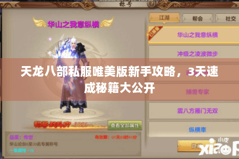 天龙八部私服唯美版新手攻略，3天速成秘籍大公开