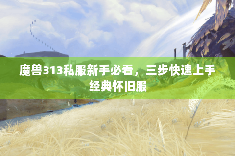 魔兽313私服新手必看，三步快速上手经典怀旧服