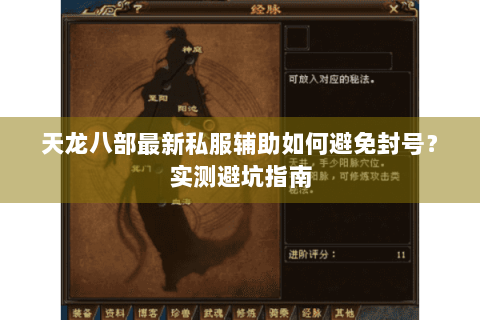 天龙八部最新私服辅助如何避免封号？实测避坑指南