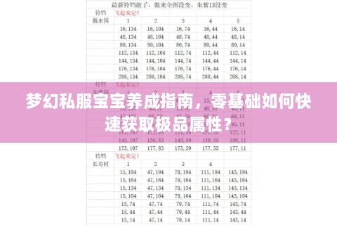 梦幻私服宝宝养成指南，零基础如何快速获取极品属性？