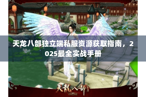 天龙八部独立端私服资源获取指南，2025最全实战手册