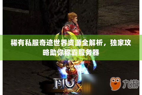 稀有私服奇迹世界资源全解析，独家攻略助你称霸服务器