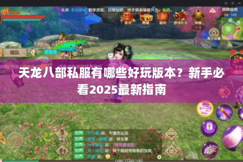 天龙八部私服有哪些好玩版本？新手必看2025最新指南