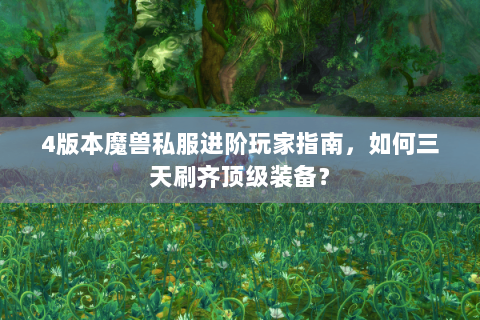 4版本魔兽私服进阶玩家指南，如何三天刷齐顶级装备？