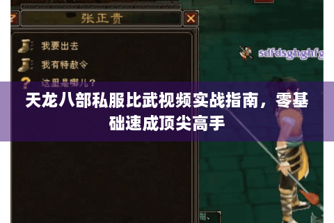 天龙八部私服比武视频实战指南，零基础速成顶尖高手