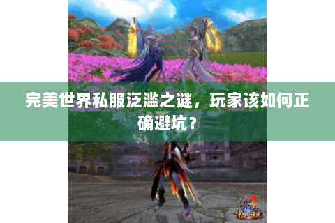 完美世界私服泛滥之谜，玩家该如何正确避坑？