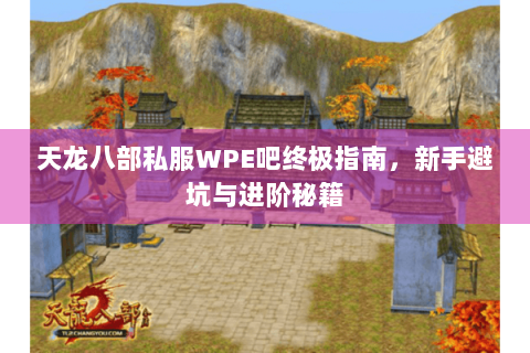 天龙八部私服WPE吧终极指南，新手避坑与进阶秘籍