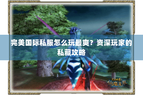 完美国际私服怎么玩最爽？资深玩家的私藏攻略