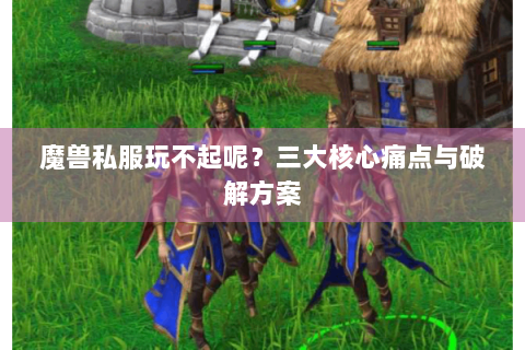魔兽私服玩不起呢？三大核心痛点与破解方案