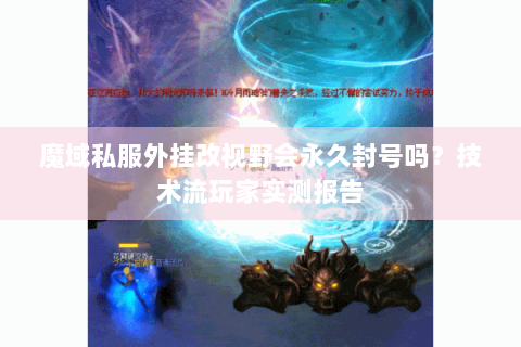 魔域私服外挂改视野会永久封号吗？技术流玩家实测报告