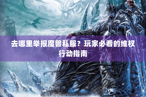 去哪里举报魔兽私服？玩家必看的维权行动指南