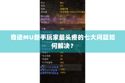 奇迹MU新手玩家最头疼的七大问题如何解决？