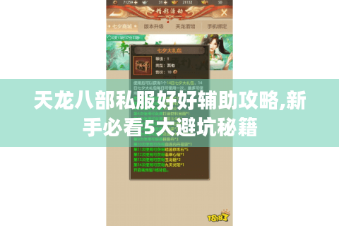 天龙八部私服好好辅助攻略,新手必看5大避坑秘籍