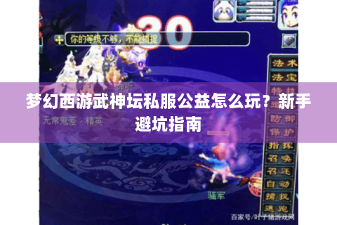 梦幻西游武神坛私服公益怎么玩？新手避坑指南